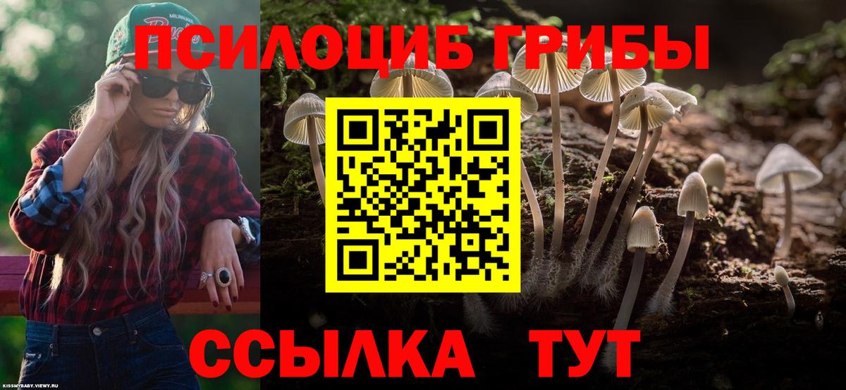 Балашов  Псилоцибиновые грибы мицелий  Вход с VPN 