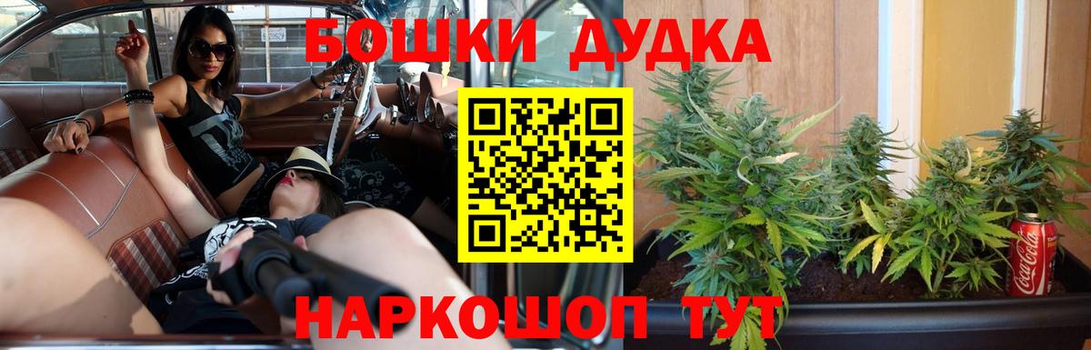 Канабис план  Каннабис SATIVA & INDICA  Балашов  Вход с VPN 